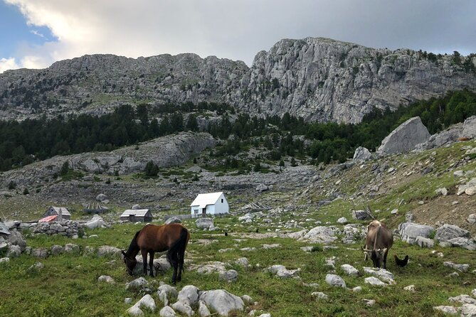 full-day-hiking-tour-to-maganik-montenegro