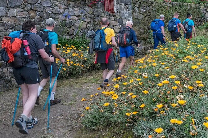 full-day-hiking-trail-ribeira-funda-maia