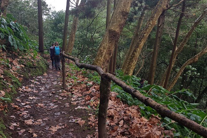 full-day-hiking-trail-waterfalls-in-lomba-de-sao-pedro-azores