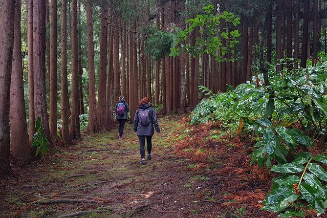 full-day-hiking-trail-waterfalls-in-lomba-de-sao-pedro-azores