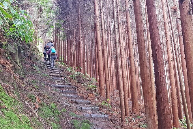 full-day-hiking-trail-waterfalls-in-lomba-de-sao-pedro-azores