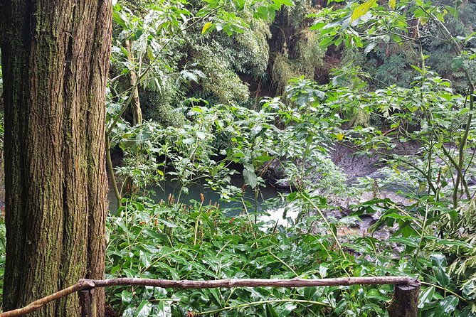 full-day-hiking-trail-waterfalls-in-lomba-de-sao-pedro-azores