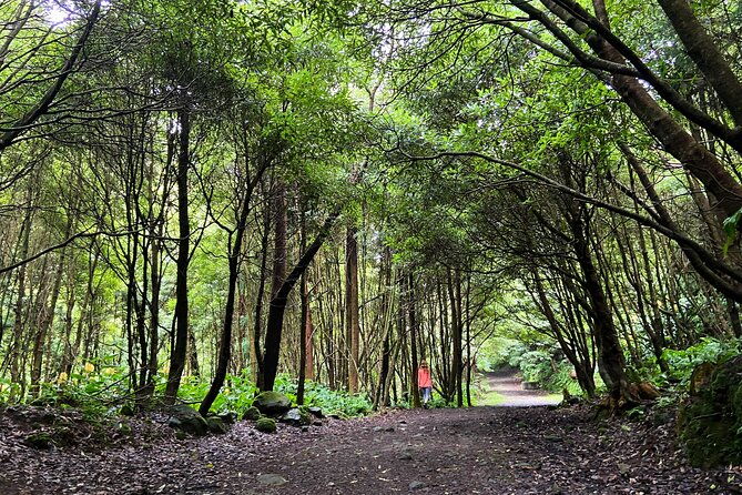 full-day-hiking-trail-window-of-hell-caldeira-velha