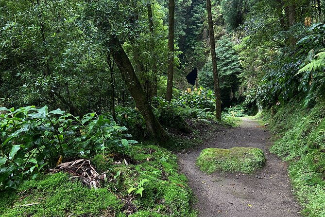 full-day-hiking-trail-window-of-hell-caldeira-velha