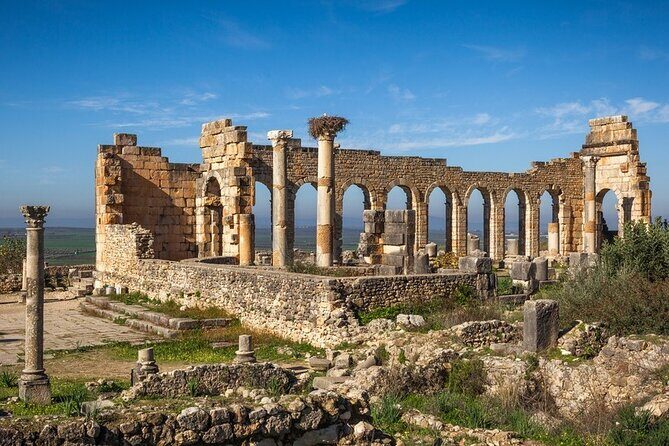 Full-day Historical Meknes Volubilis and Moulay Idriss Tour - FAQs