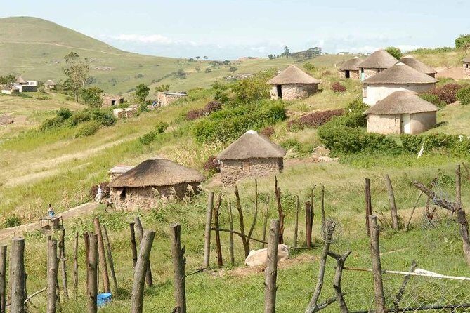 Full day - Hluhluwe Imfolozi Game Reserve 1 Day Tour From Durban - Final Thoughts