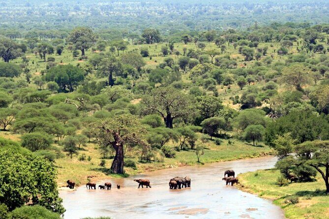 Full Day Hluhluwe Imfolozi Game Reserve From Durban - The Sum Up