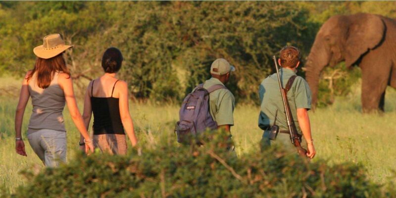 Full Day Hluhluwe Imfolozi Game Reserve Tour from Durban - Practical Tips for Your Safari
