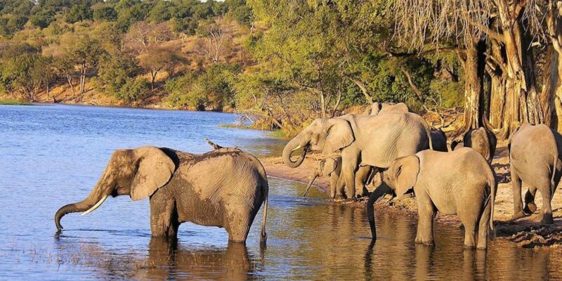 Full Day Hluhluwe Imfolozi Game Reserve Tour from Durban - FAQs