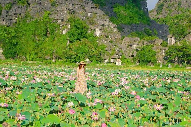 Full-Day Hoa Lu Tam Coc Or Trang An Tour - Key Points