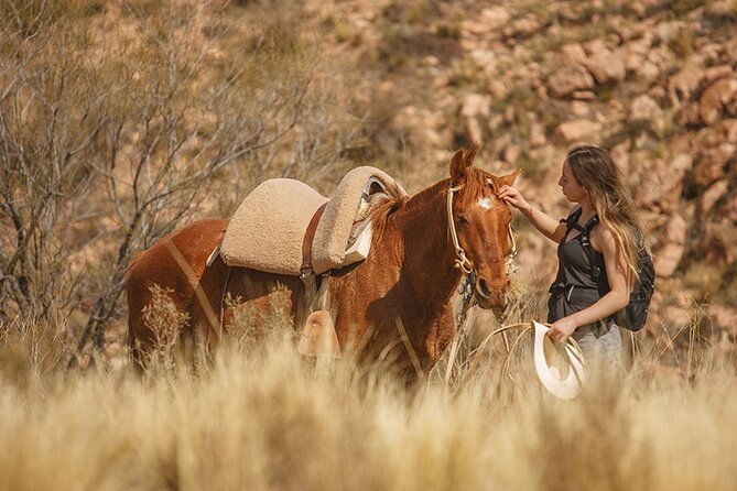 full-day-horseback-riding-at-the-foot-of-the-andes