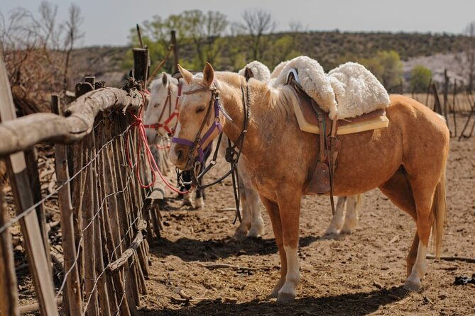 full-day-horseback-riding-at-the-foot-of-the-andes