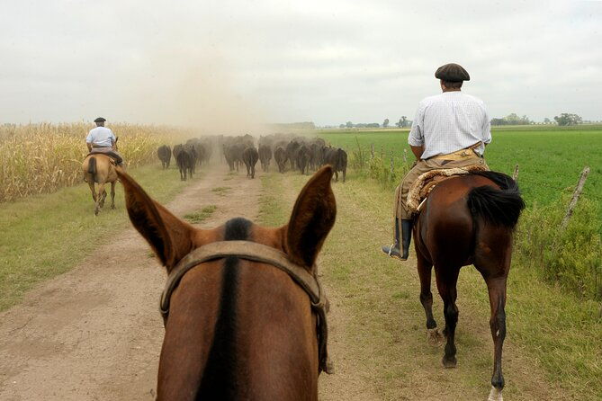 full-day-horseback-riding-with-gauchos-from-buenos-aires