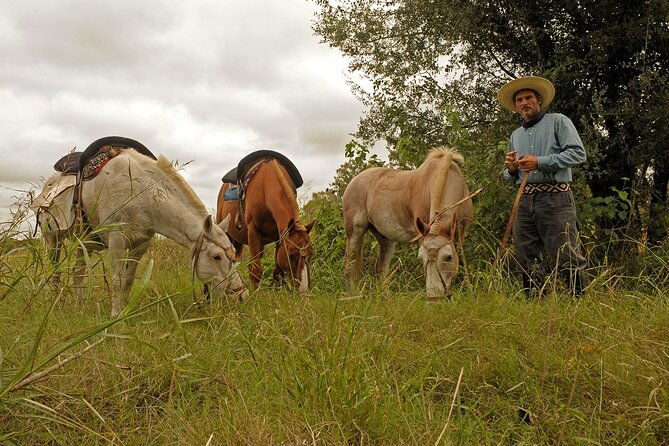 full-day-horseback-riding-with-gauchos-from-buenos-aires