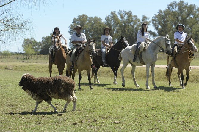 full-day-horseback-riding-with-gauchos-from-buenos-aires