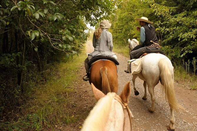 full-day-horseback-riding-with-gauchos-from-buenos-aires