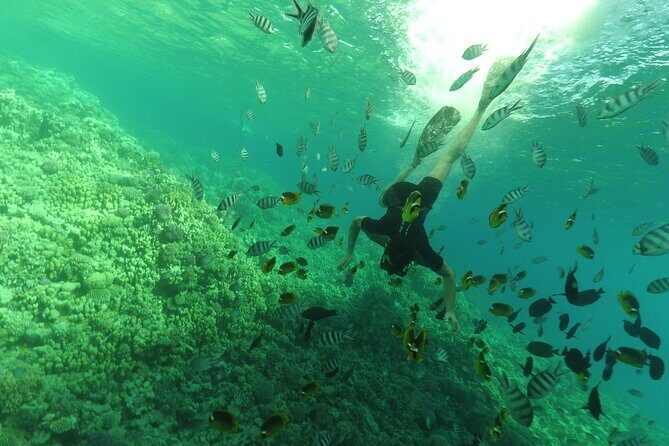 Full Day Hula Hula Island Sea trip, Water Sports, Lunch- Hurghada - FAQs