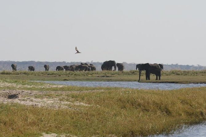 Full Day Hwange Day Trip - Who Will Love This Tour?