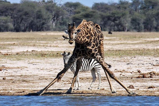 Full Day Hwange Day Trip - Frequently Asked Questions
