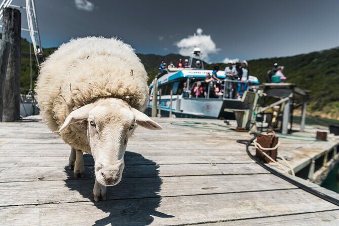 Full Day Iconic Mail Boat Cruise - The Sum Up