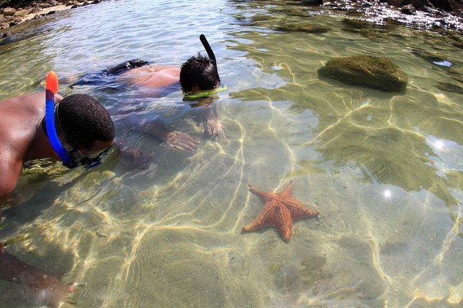 full-day-ilha-grande-northern-coast-speedboat-tour