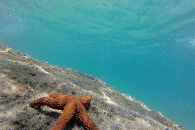 full-day-ilha-grande-northern-coast-speedboat-tour