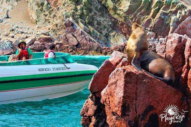 full-day-in-lima-paracas-and-huacachina-ica-in-luxury-mobility