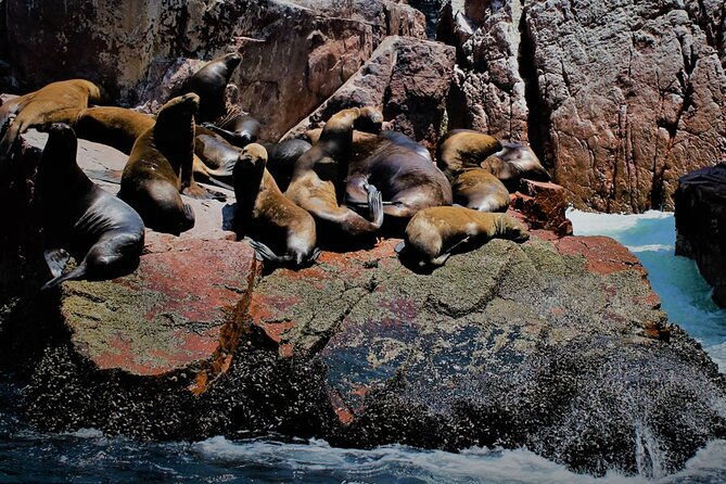 full-day-in-lima-paracas-and-huacachina-ica-in-luxury-mobility