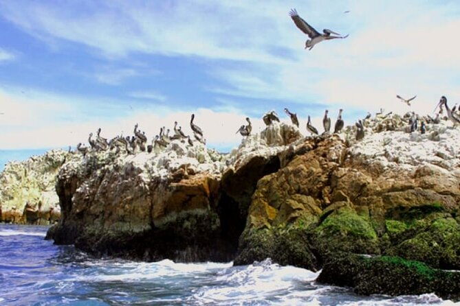 full-day-in-paracas-and-huacachina-from-lima-all-included