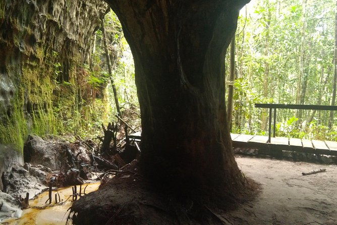 full-day-in-the-amazon-jungle-with-trails-caves-and-waterfalls