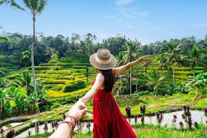 Full Day In Ubud With Private Tour - Key Points