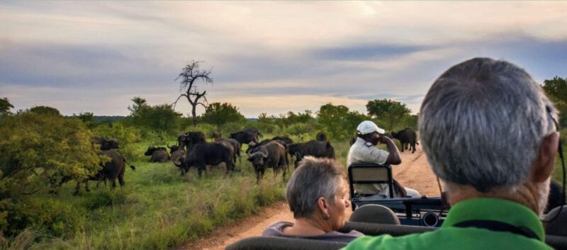 Full Day Isimangaliso Wetlands Park Tour from Durban - Full Day iSimangaliso Wetlands Park Tour from Durban: An In-Depth Review