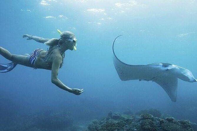 Full-Day Island-Hopping Tour from Bali - FAQ