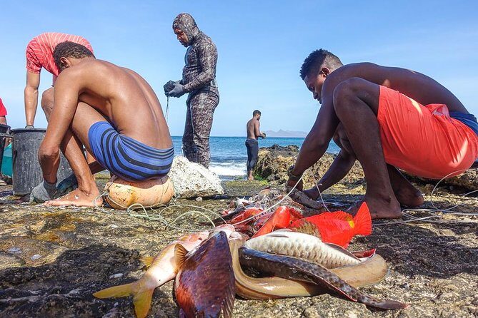 Full Day Island Tour, Highlights of São Vicente - FAQs