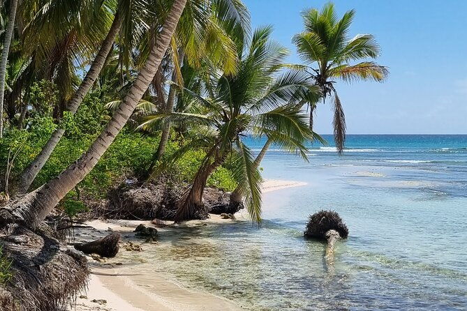 full-day-island-tour-in-isla-saona-from-punta-cana