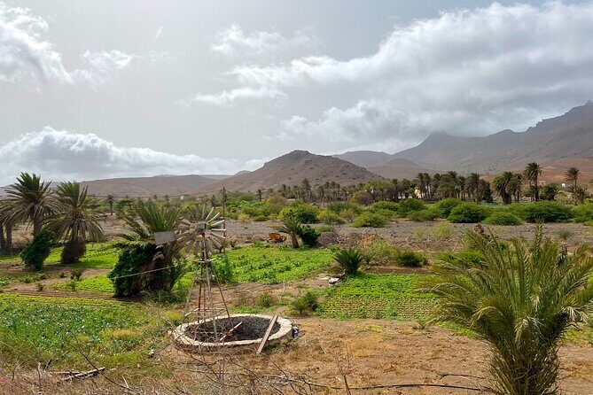 Full Day Island Tour Sao Vicente - FAQs