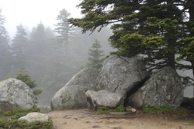 full-day-istanbul-to-bursa-excursion-with-cable-car-2