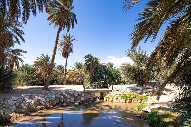 Full day Jabal Al Lawz with Biblical Sites visit - Transport, Food, and Comfort