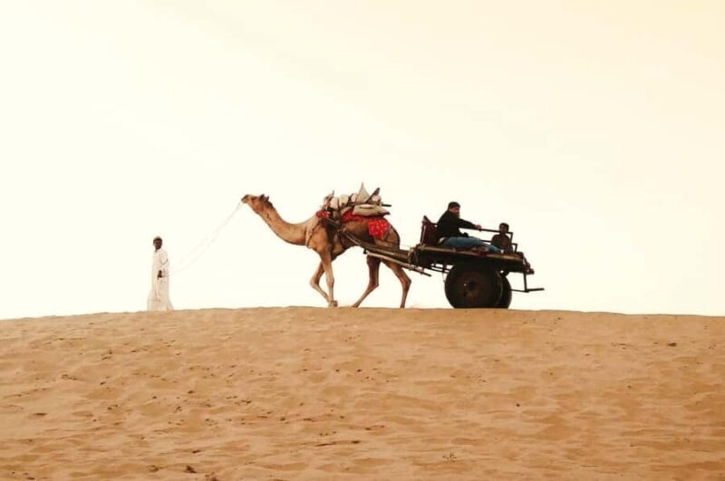 Full-Day Jaisalmer City Tour - Fort, Havelis & Desert Charm - Authentic Tips and Insights from Reviewers