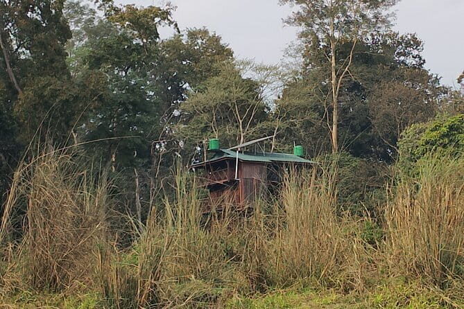 Full Day Jeep Safari in Chitwan National Park - The Experience of Chitwan’s Wilderness