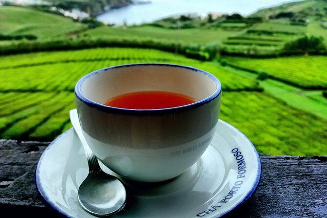 Full Day Jeep Tour Furnas with lunch (Cozido) and drinks included - Final Thoughts: Who Should Consider This Tour?