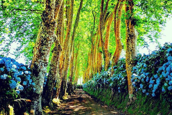 full-day-jeep-tour-nordeste-with-lunch-included