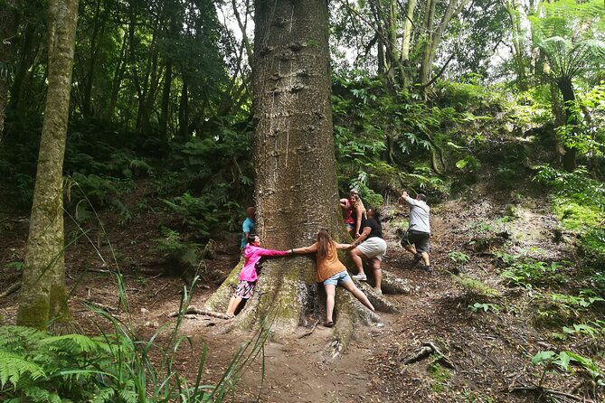 full-day-jeep-tour-to-furnas