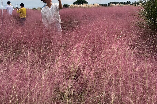 Full-Day Jeju Island SOUTH Tour (entrance fee included) - Exploring Jejus Top Sights in Detail