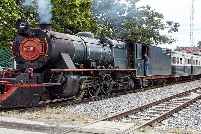 Full Day JomTour! Memorable Experience in Kota Kinabalu, Sabah - Kinabalu Park