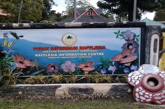 Full Day JomTour! Memorable Experience in Kota Kinabalu, Sabah - What’s the Experience Like?