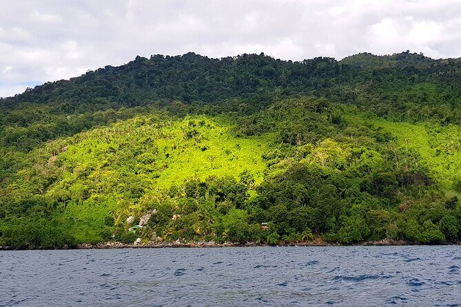 Full-day jungle trek on Nosy Komba (Lemur island) with the Black Lemur Sanctuary - An In-Depth Look at the Tour Experience