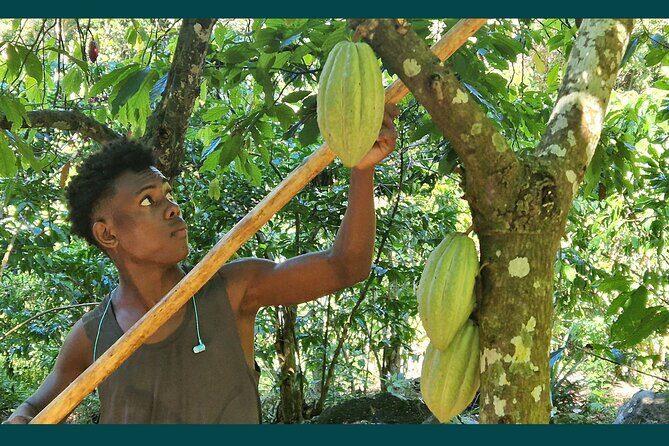 Full-day jungle trek on Nosy Komba (Lemur island) with the Black Lemur Sanctuary - FAQs