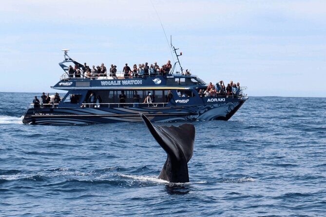 Full Day Kaikoura Tour Whale Watching Seals and Scenic Coast - Introduction