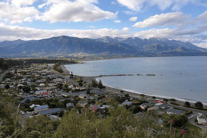 Full Day Kaikoura Tour Whale Watching Seals and Scenic Coast - Key Points